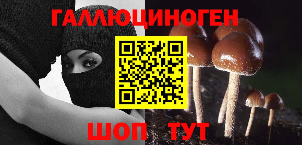 Галлюциногенные грибы Psilocybe  Псилоцибиновые грибы мухоморы  Калининград  Вход с VPN 